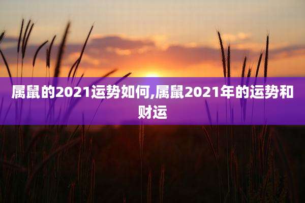 属鼠的2021运势如何,属鼠2021年的运势和财运