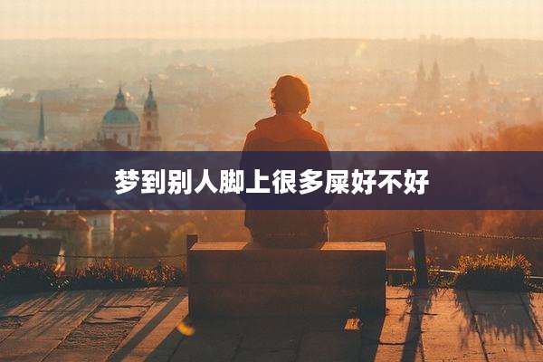 梦到别人脚上很多屎好不好