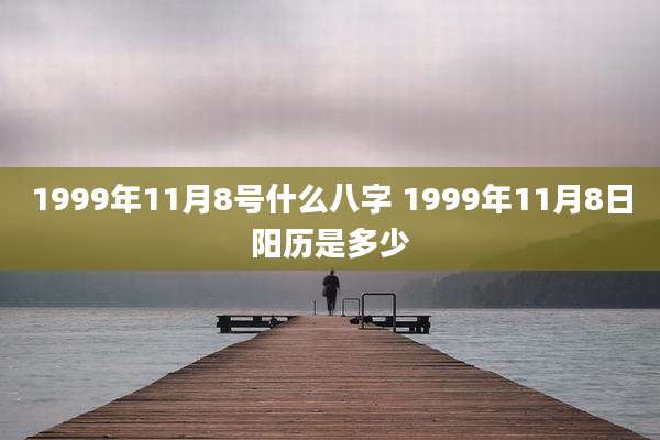 1999年11月8号什么八字 1999年11月8日阳历是多少