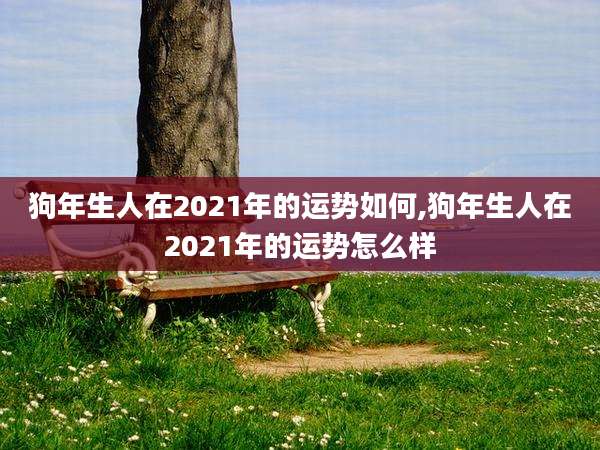 狗年生人在2021年的运势如何,狗年生人在2021年的运势怎么样