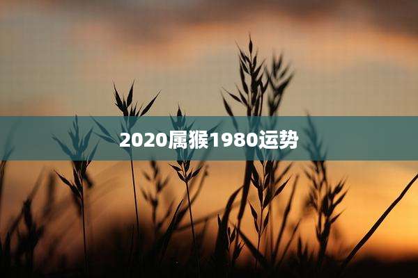 2020属猴1980运势