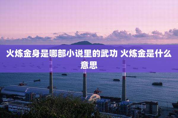 火炼金身是哪部小说里的武功 火炼金是什么意思