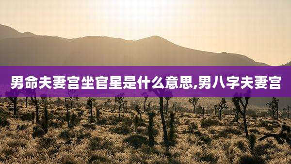 男命夫妻宫坐官星是什么意思,男八字夫妻宫