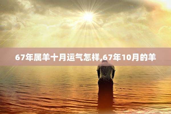 67年属羊十月运气怎样,67年10月的羊