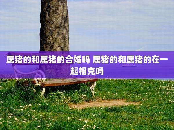 属猪的和属猪的合婚吗 属猪的和属猪的在一起相克吗