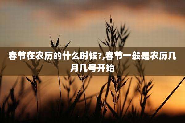 春节在农历的什么时候?,春节一般是农历几月几号开始