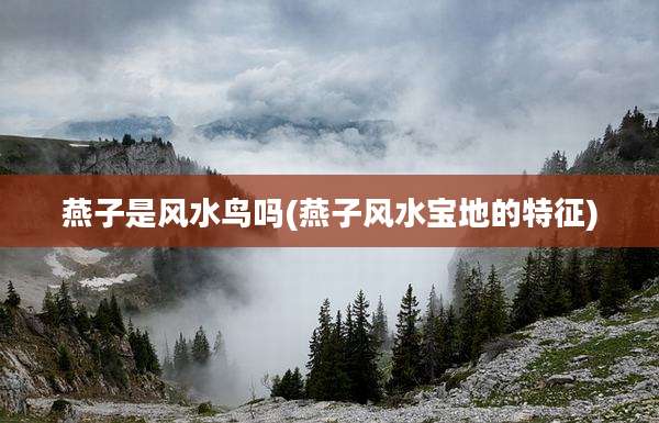 燕子是风水鸟吗(燕子风水宝地的特征)
