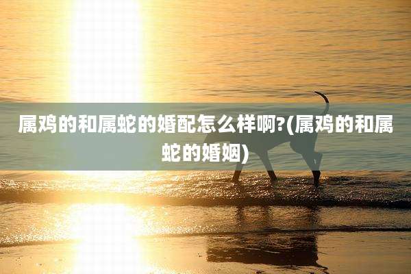 属鸡的和属蛇的婚配怎么样啊?(属鸡的和属蛇的婚姻)