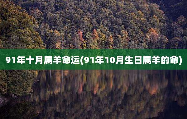 91年十月属羊命运(91年10月生日属羊的命)