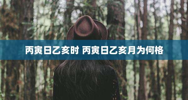 丙寅日乙亥时 丙寅日乙亥月为何格