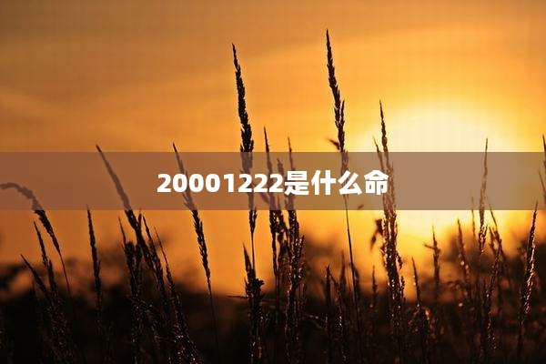 20001222是什么命