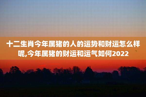 十二生肖今年属猪的人的运势和财运怎么样呢,今年属猪的财运和运气如何2022