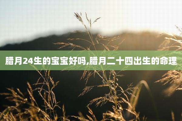 腊月24生的宝宝好吗,腊月二十四出生的命理