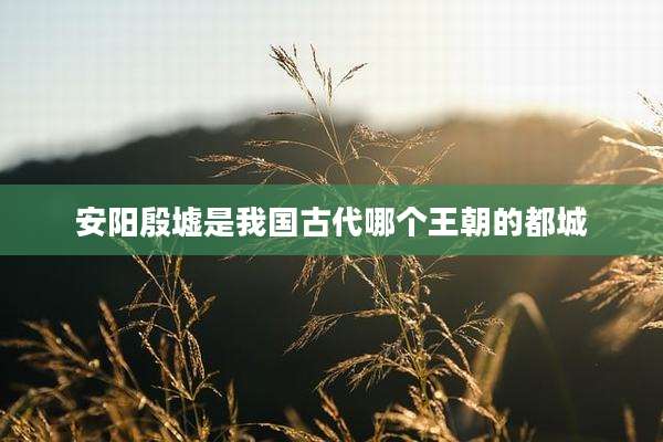 安阳殷墟是我国古代哪个王朝的都城