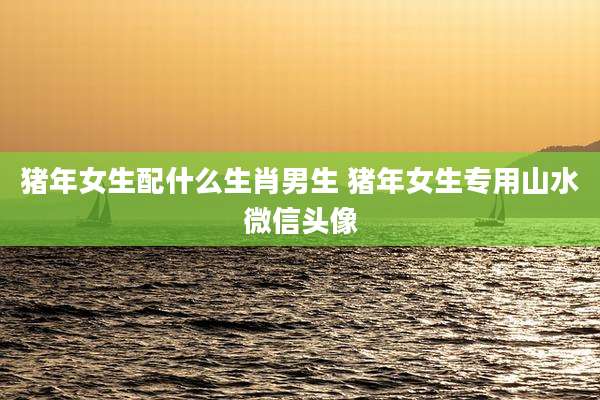 猪年女生配什么生肖男生 猪年女生专用山水微信头像