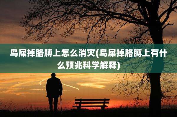 鸟屎掉胳膊上怎么消灾(鸟屎掉胳膊上有什么预兆科学解释)