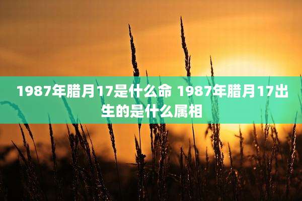 1987年腊月17是什么命 1987年腊月17出生的是什么属相