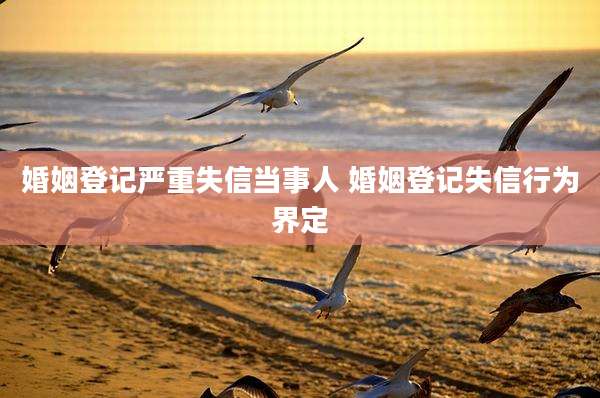 婚姻登记严重失信当事人 婚姻登记失信行为界定