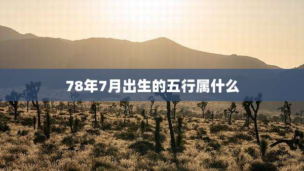 78年7月出生的五行属什么