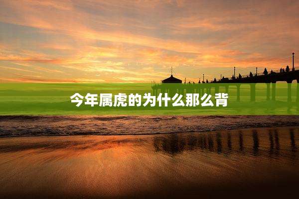 今年属虎的为什么那么背