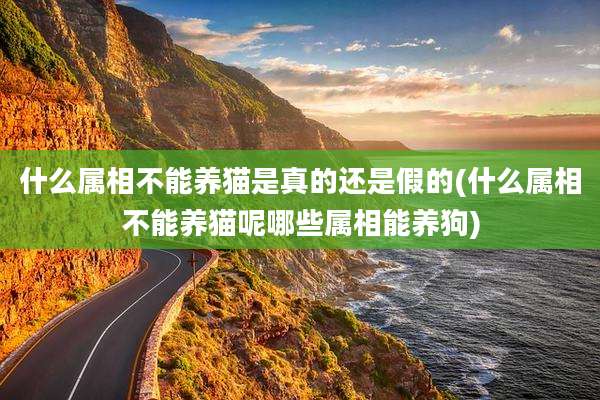 什么属相不能养猫是真的还是假的(什么属相不能养猫呢哪些属相能养狗)