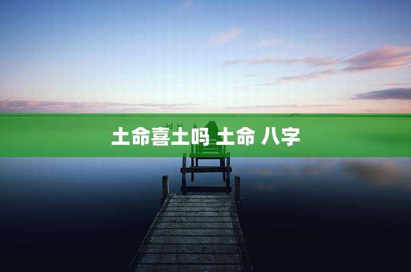 土命喜土吗 土命 八字