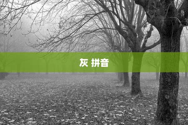 灰 拼音
