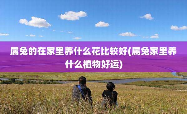 属兔的在家里养什么花比较好(属兔家里养什么植物好运)