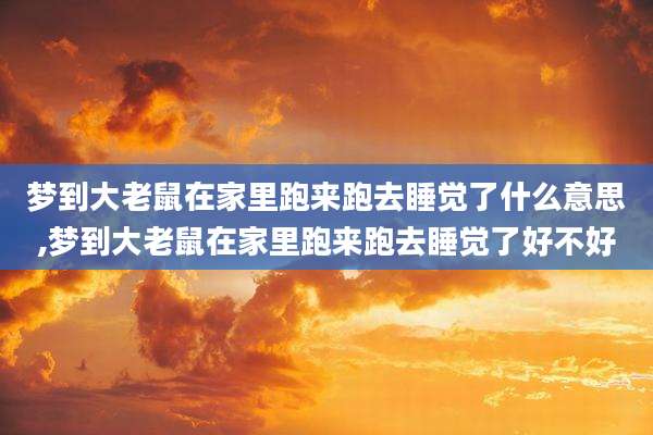 梦到大老鼠在家里跑来跑去睡觉了什么意思,梦到大老鼠在家里跑来跑去睡觉了好不好