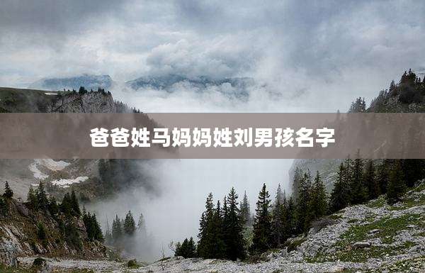 爸爸姓马妈妈姓刘男孩名字