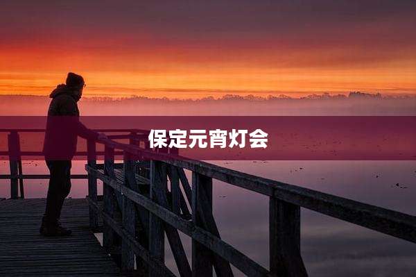 保定元宵灯会