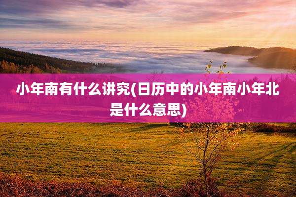 小年南有什么讲究(日历中的小年南小年北是什么意思)