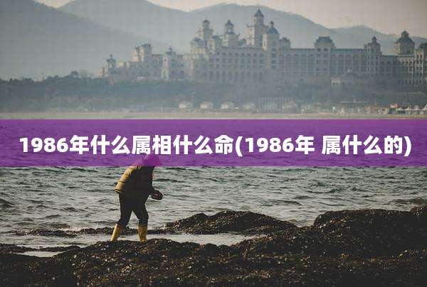 1986年什么属相什么命(1986年 属什么的)