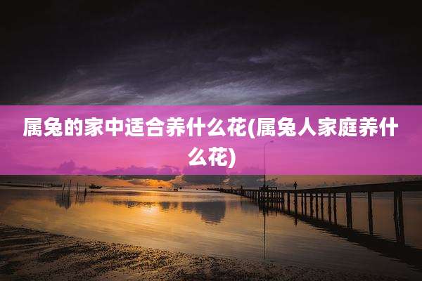 属兔的家中适合养什么花(属兔人家庭养什么花)