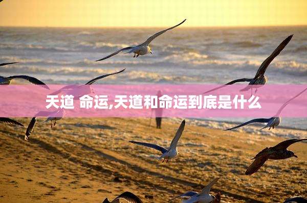 天道 命运,天道和命运到底是什么