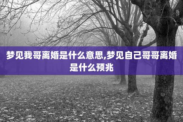 梦见我哥离婚是什么意思,梦见自己哥哥离婚是什么预兆
