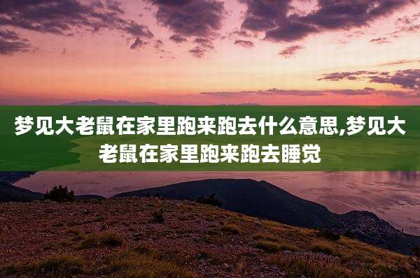 梦见大老鼠在家里跑来跑去什么意思,梦见大老鼠在家里跑来跑去睡觉