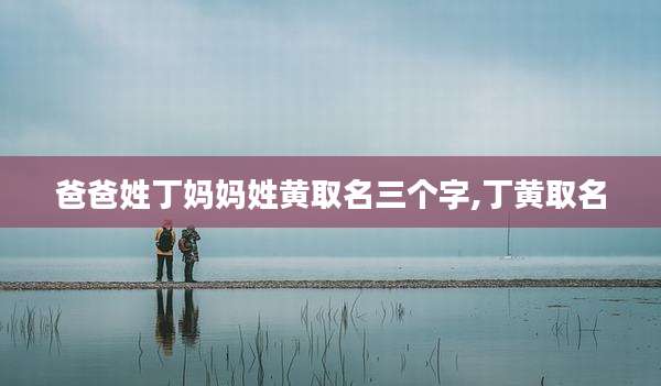 爸爸姓丁妈妈姓黄取名三个字,丁黄取名
