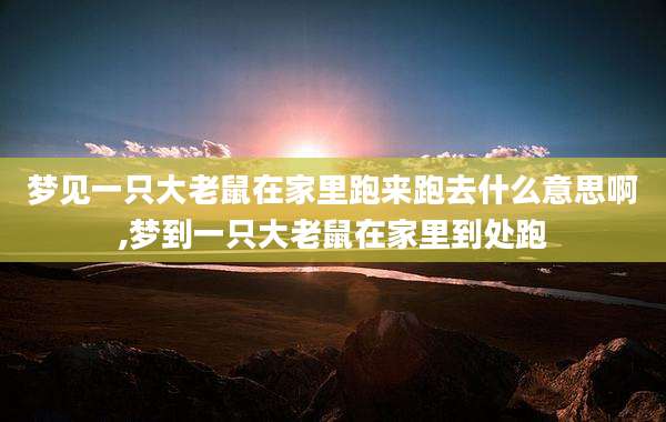 梦见一只大老鼠在家里跑来跑去什么意思啊,梦到一只大老鼠在家里到处跑