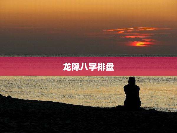 龙隐八字排盘