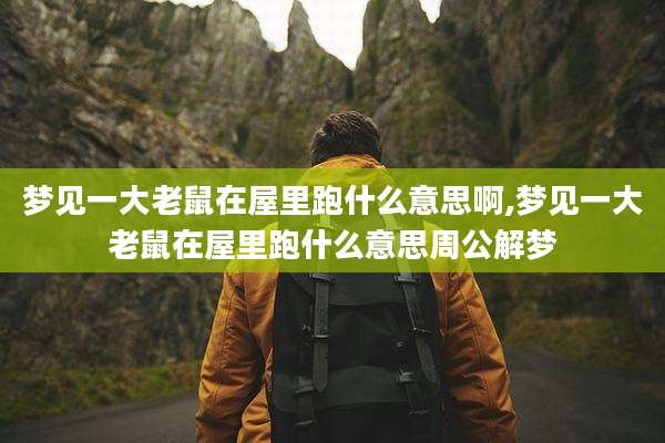 梦见一大老鼠在屋里跑什么意思啊,梦见一大老鼠在屋里跑什么意思周公解梦