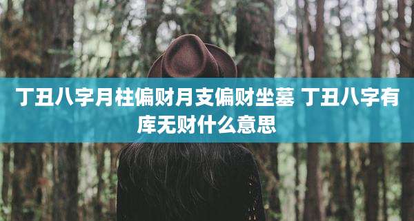 丁丑八字月柱偏财月支偏财坐墓 丁丑八字有库无财什么意思
