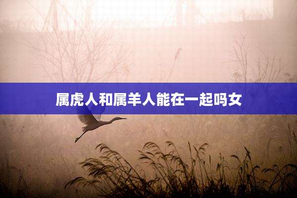 属虎人和属羊人能在一起吗女