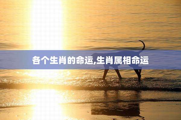 各个生肖的命运,生肖属相命运