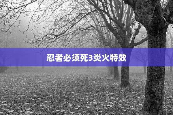 忍者必须死3炎火特效