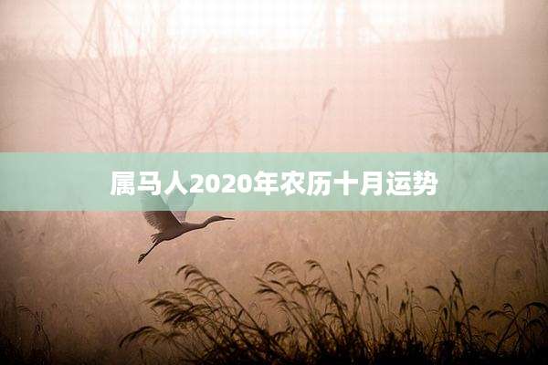属马人2020年农历十月运势