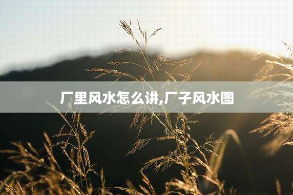 厂里风水怎么讲,厂子风水图