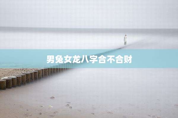 男兔女龙八字合不合财