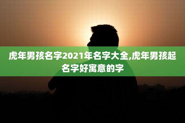 虎年男孩名字2021年名字大全,虎年男孩起名字好寓意的字