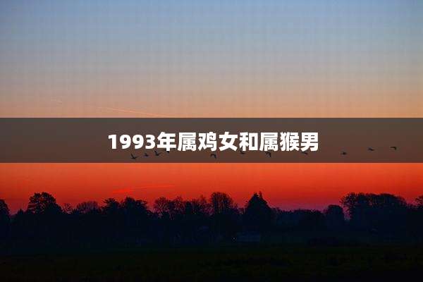 1993年属鸡女和属猴男
